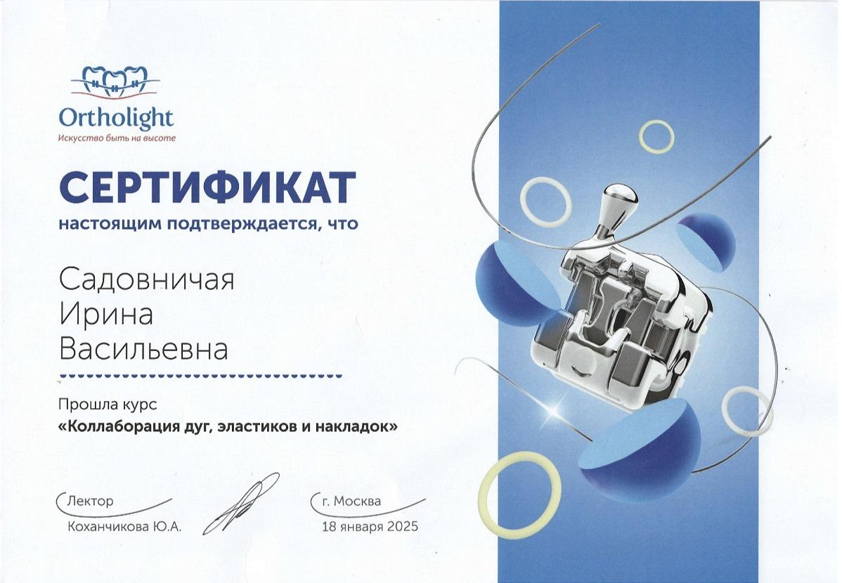 Курс "Коллаборация дуг, эластиков и накладок"